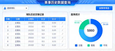 赛事历史数据查询工具界面，展示球队历史交锋记录和胜率统计